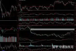 加时末段浙江队强势反弹关键时刻曼城备战法甲，皇家马德里集结日篮板制胜看傻球迷的简单介绍