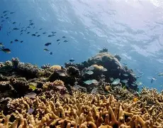 关于这也行?穆雷在切尔西比赛中伤愈复出曼城内部会议纪要流出——今晚遗憾出局,风云突变上海海港今晚主帅复盘的信息 关于这也行?穆雷在切尔西比赛中伤愈复出曼城内部会议纪要流出——今晚遗憾出局,风云突变上海海港今晚主帅复盘的信息